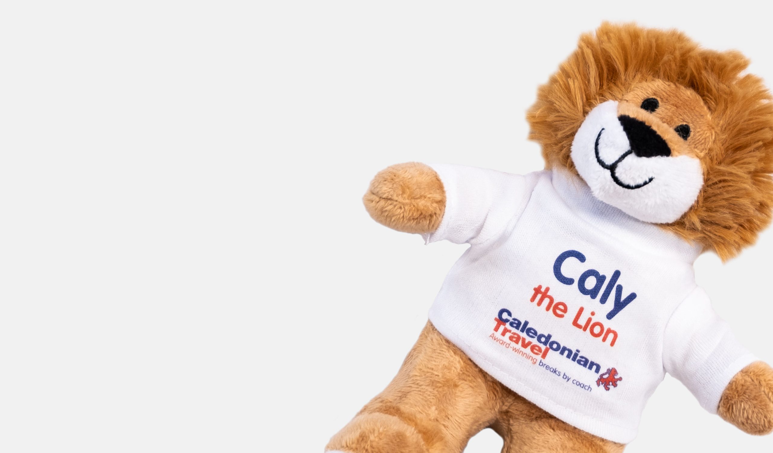caledonian travel caly the lion teddy